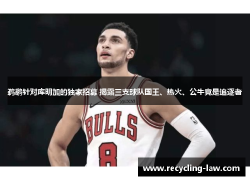 鹈鹕针对库明加的独家招募 揭露三支球队国王、热火、公牛竟是追逐者